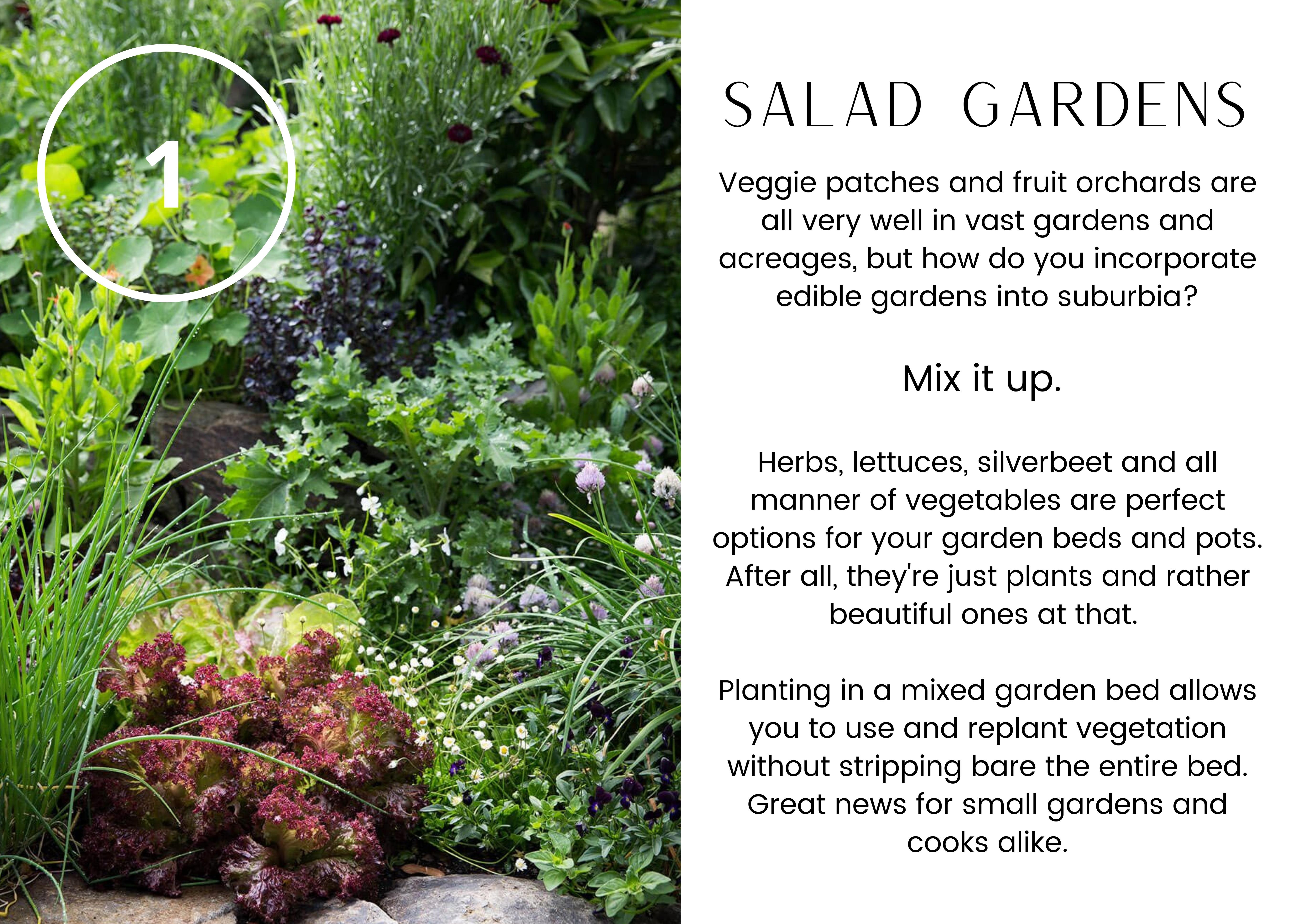 Page 2 Salad Gardens
